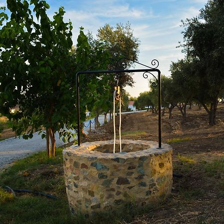Melrinitas Turismo Rural Otel Serpa Dış mekan fotoğraf