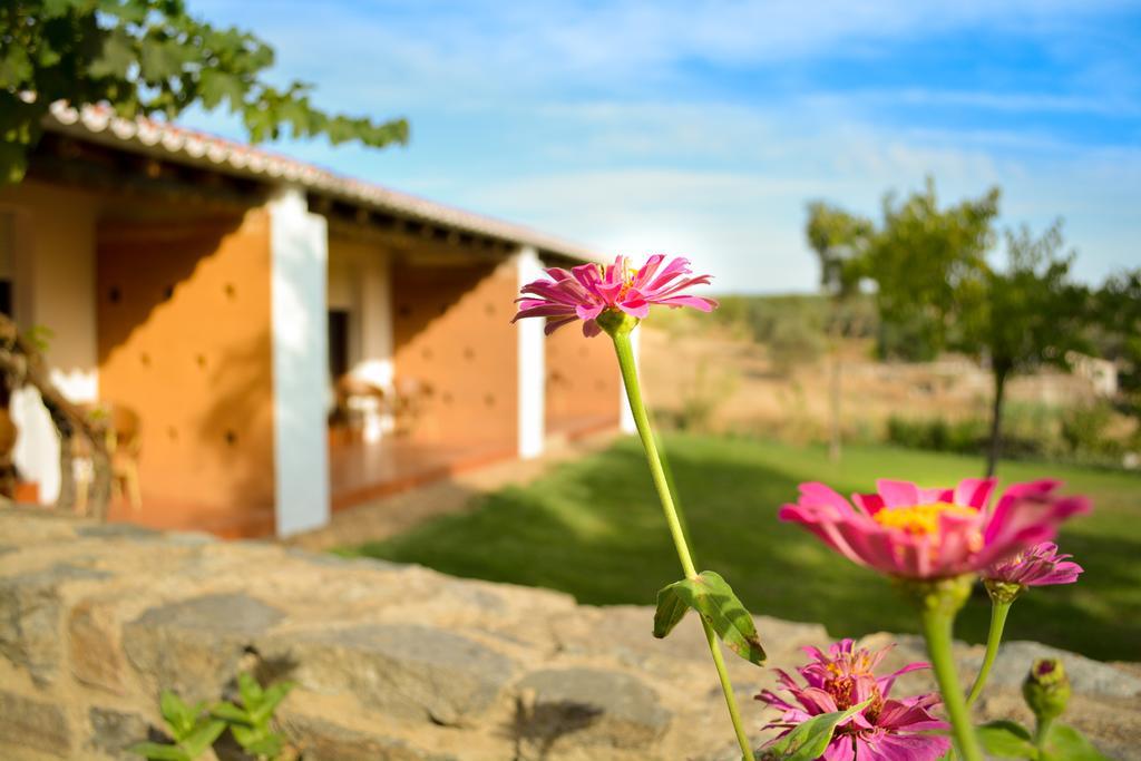 Melrinitas Turismo Rural Otel Serpa Dış mekan fotoğraf